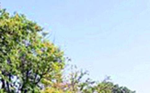 ����Ȧ�簲ף���ͨ��100�䣩