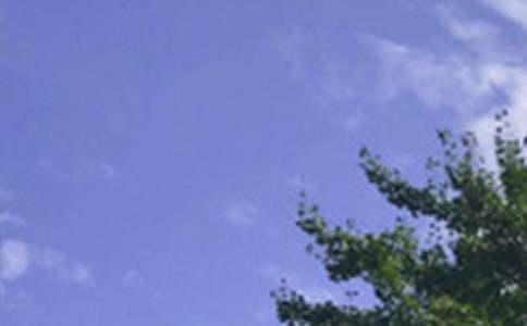 ����Ψ���簲ף����90�侫ѡ