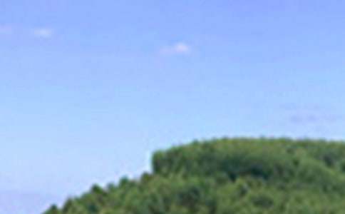 �簲����¼