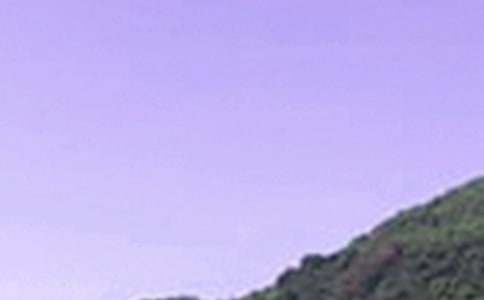 唯美的午安问候语汇编71句