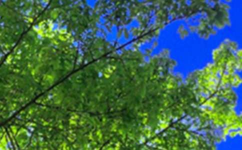 ����ϵ�簲�ʺ���󼯺�75��