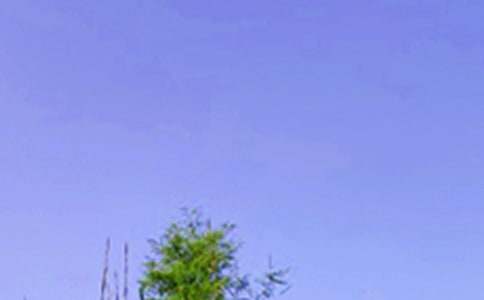 励志午安祝福语40句精选