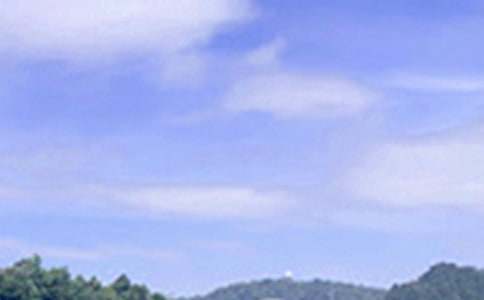 关于唯美午安祝福语(通用50句)