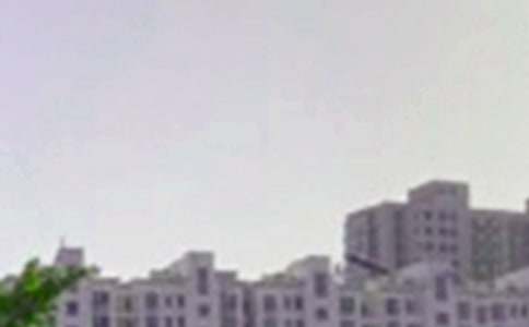 唯美的午安问候语短信大汇总58条