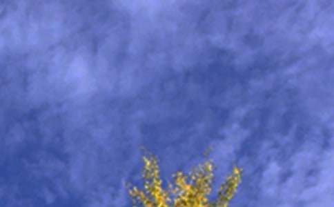 Ψ�����簲΢���ʺ��Ｏ��82��