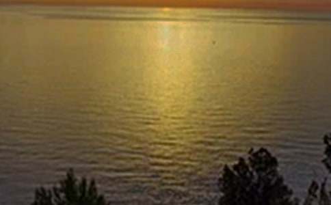 2026����ܰ���簲΢���ʺ���82��