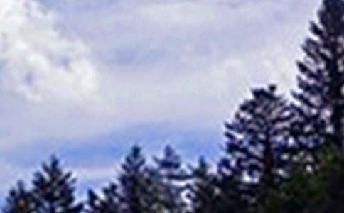 2026���������簲�ʺ�����ż���34��