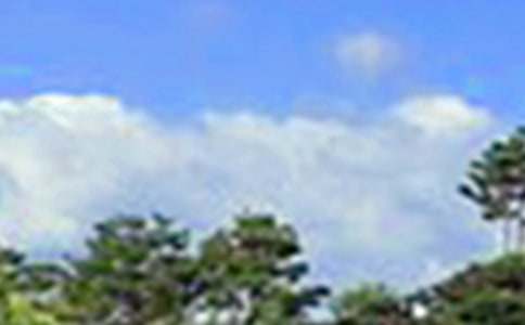 2024���簲QQ�ʺ��Ｏ��37��