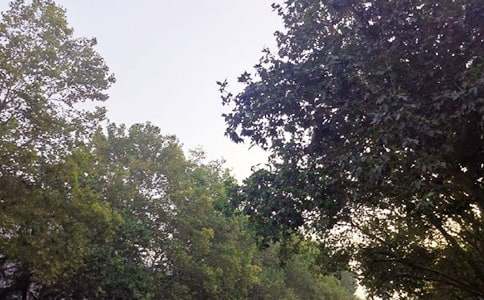 ��ܰ�簲ף������ܣ�ͨ��80�䣩