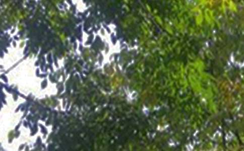 ��ѡ���������簲��¼99��