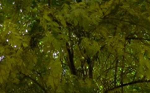 ��ů���簲QQ�ʺ����ϼ�53��