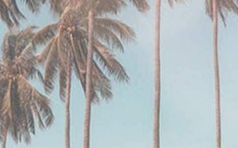 小学生夏季安全保证书四篇