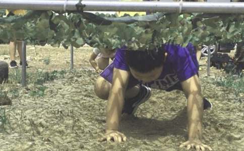 国学夏令营活动方案