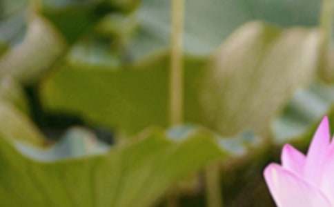 2026�������ʺ���23��