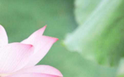 ������������ⷽ��