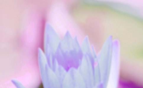 夏至祝福语合集15篇