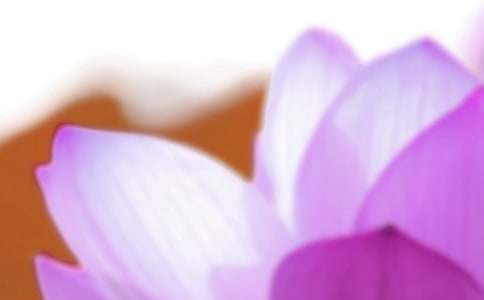 夏至经典的祝福语优秀