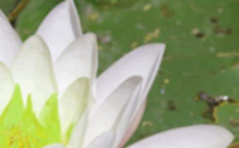 �����ʺ��ﾭ��(15ƪ)