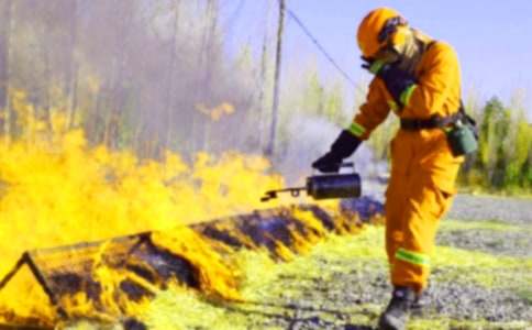 消防主题活动策划方案范文(精选6篇)