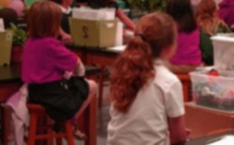 Сѧ�������ж�������