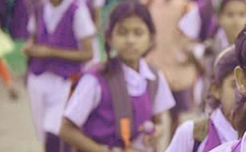 有关小学生学习计划锦集六篇