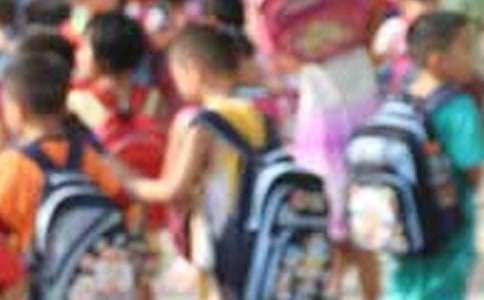 Сѧ�������ѧϰ�ƻ�ģ�弯��6ƪ