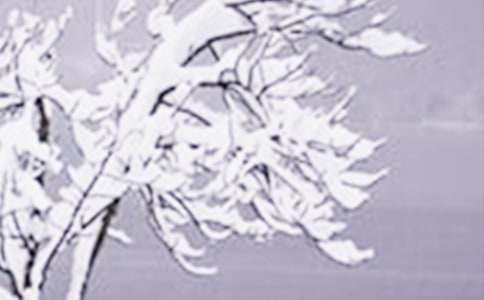 小雪祝福语通用15篇