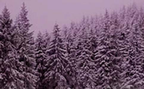 有关小雪的经典语录