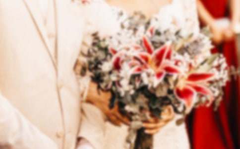 �»鸸���´�(15ƪ)