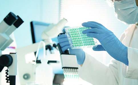 研究生会工作计划