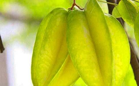 �������ҡ���ѧ��˼[��]