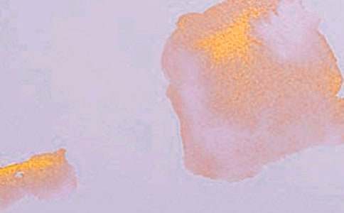 �а�������ѧ�ƻ�