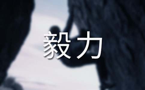 �й�������������