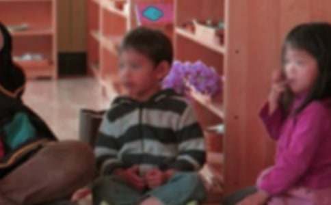 幼儿园教学主任个人工作计划