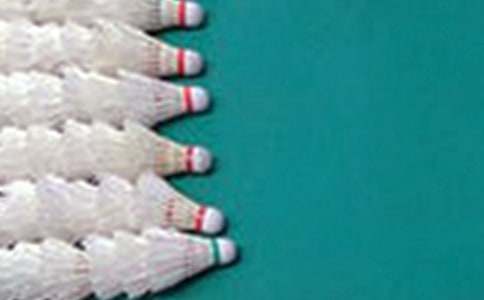 ��ë����������15ƪ