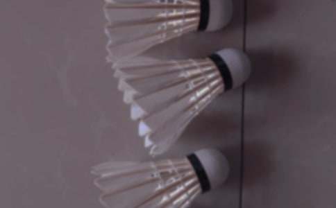 羽毛球比赛策划书15篇