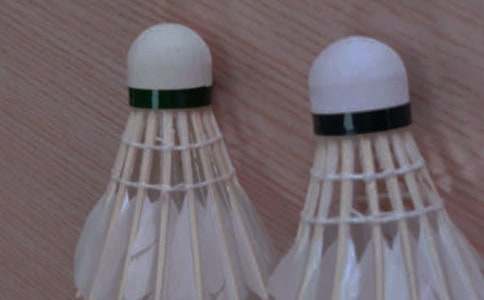 ��ë��Ľ�ѧ�ƻ�