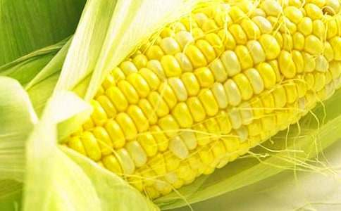 玉米合同范本(通用14篇)