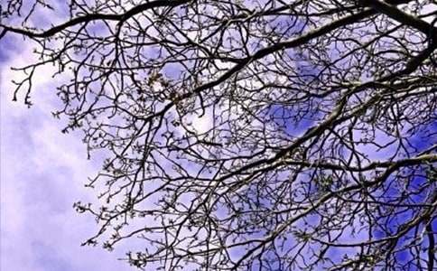 【必备】2020年动人的早安问候语语录26条