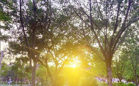 常用朋友早安微信问候语23句