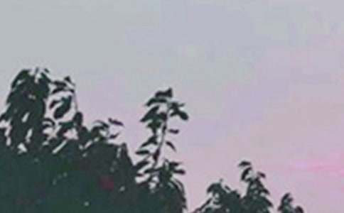 新版早安问候语25句