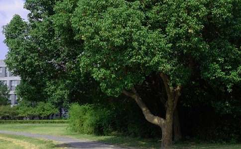 【热门】美好的早安问候语语录合集42条