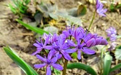 【实用】温馨的早安问候语语录摘录57句