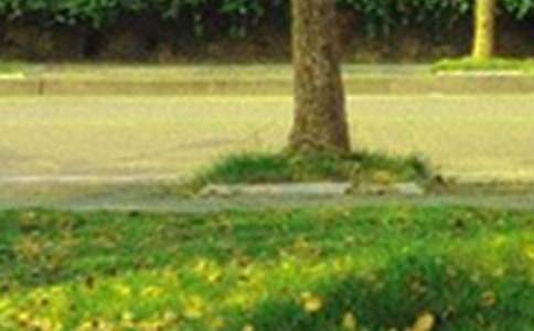 ���ر����簲�ʺ�����¼���59��