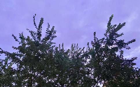 2021年精选适合早上发的早安问候语语录28条