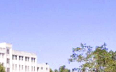 2021年精选治愈系早安问候语语录汇总54条