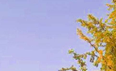 【精华】动人的早安问候语语录240句