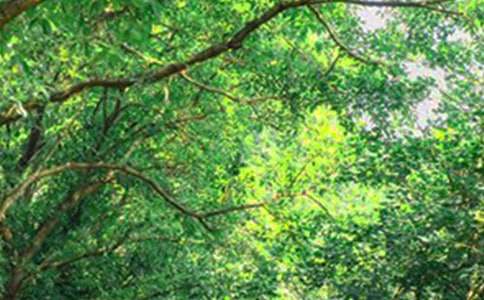 ʵ�õ����õ��簲����Ȧ�ʺ�������52��