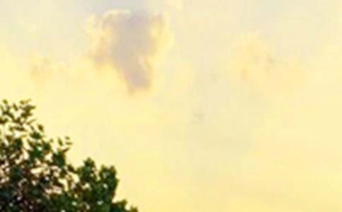 【推荐】正能量早安语录36句