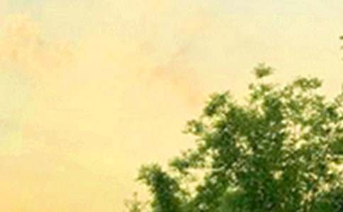 ��̵����õ��簲�ʺ�����¼29��